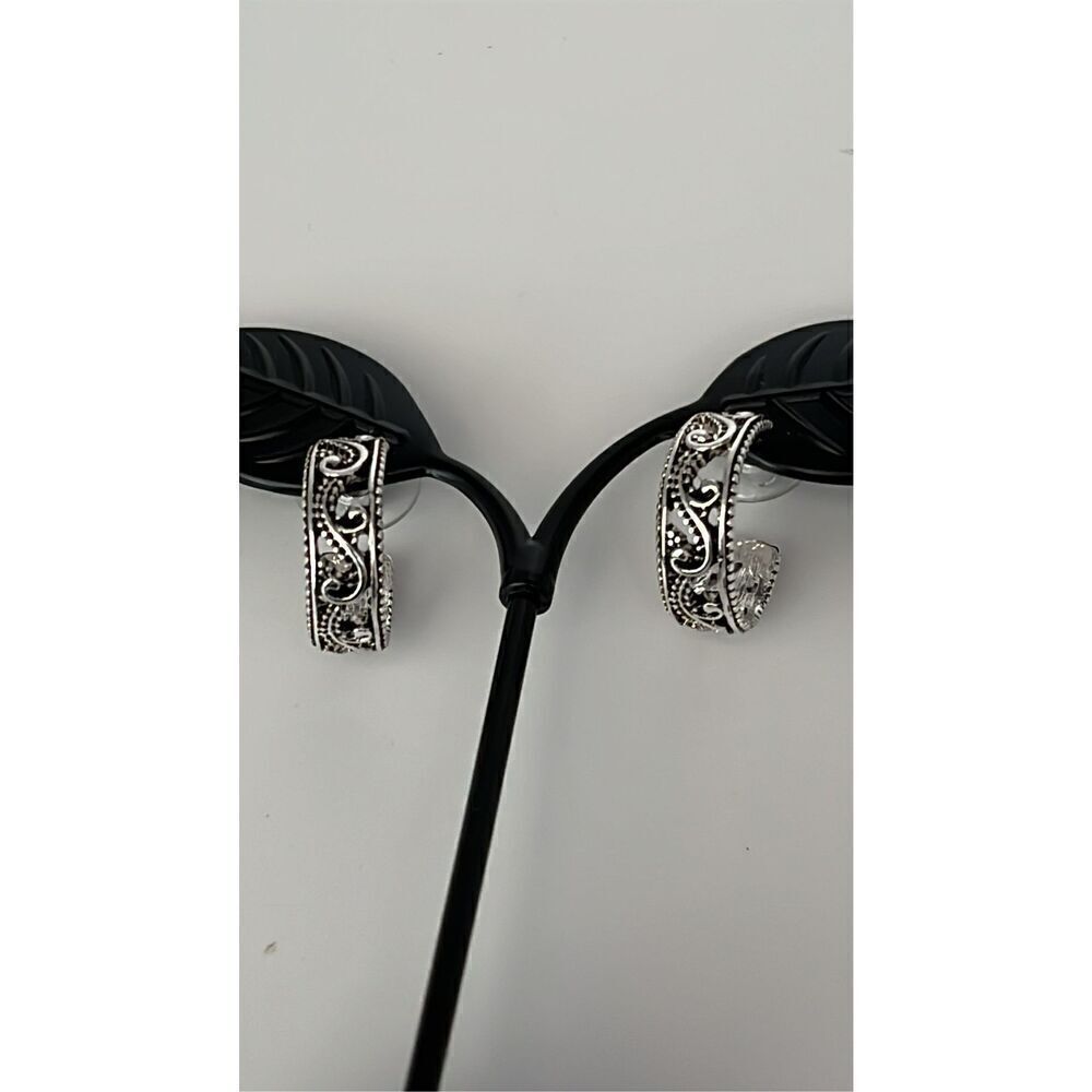Sensitive Ears Nickel Free Stainless Steel Semi Circle Earrings Hypoallergenic N